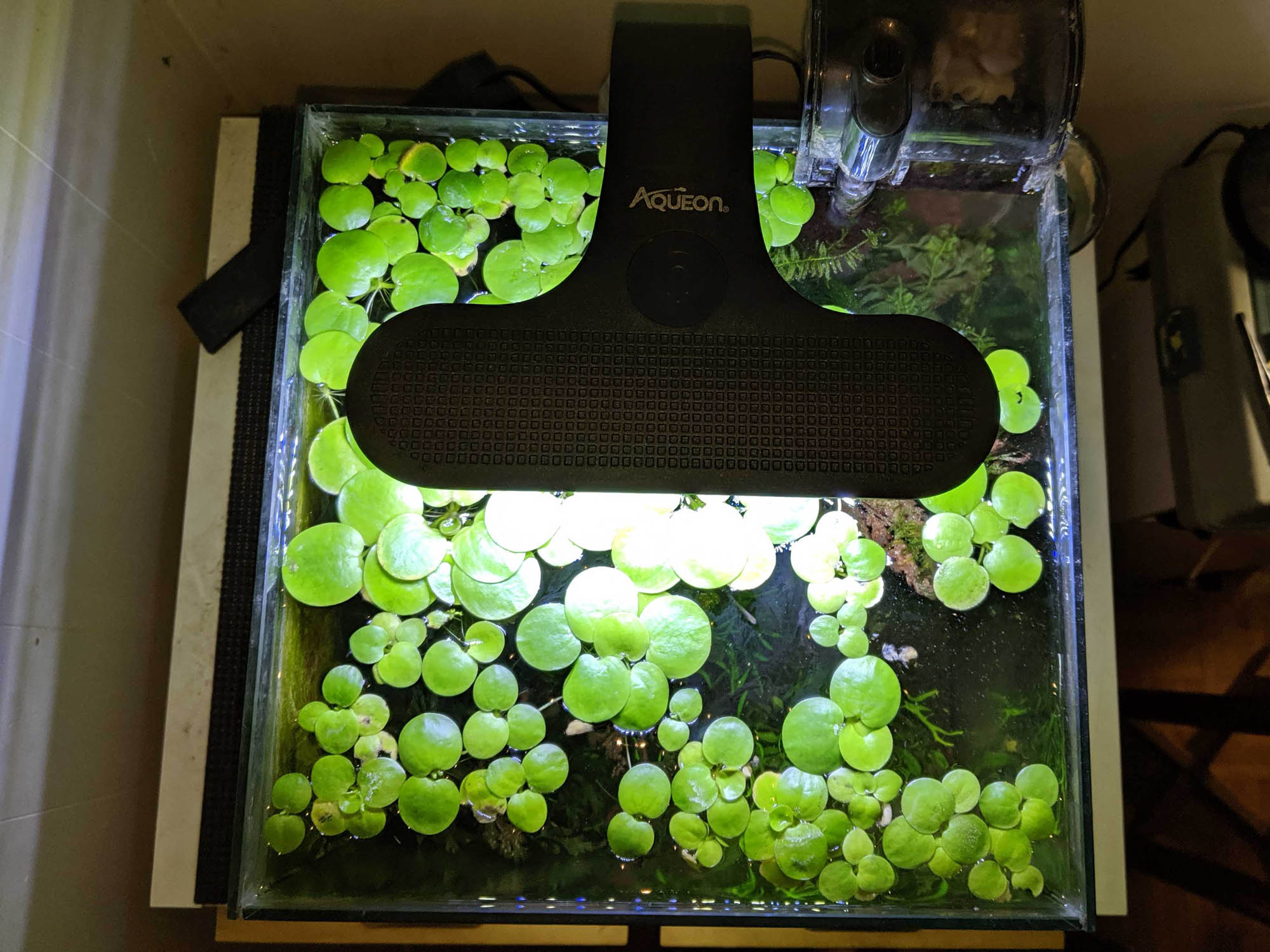 AQUEON PLANTED AQUARIUM CLIP ON LED PAR DATA