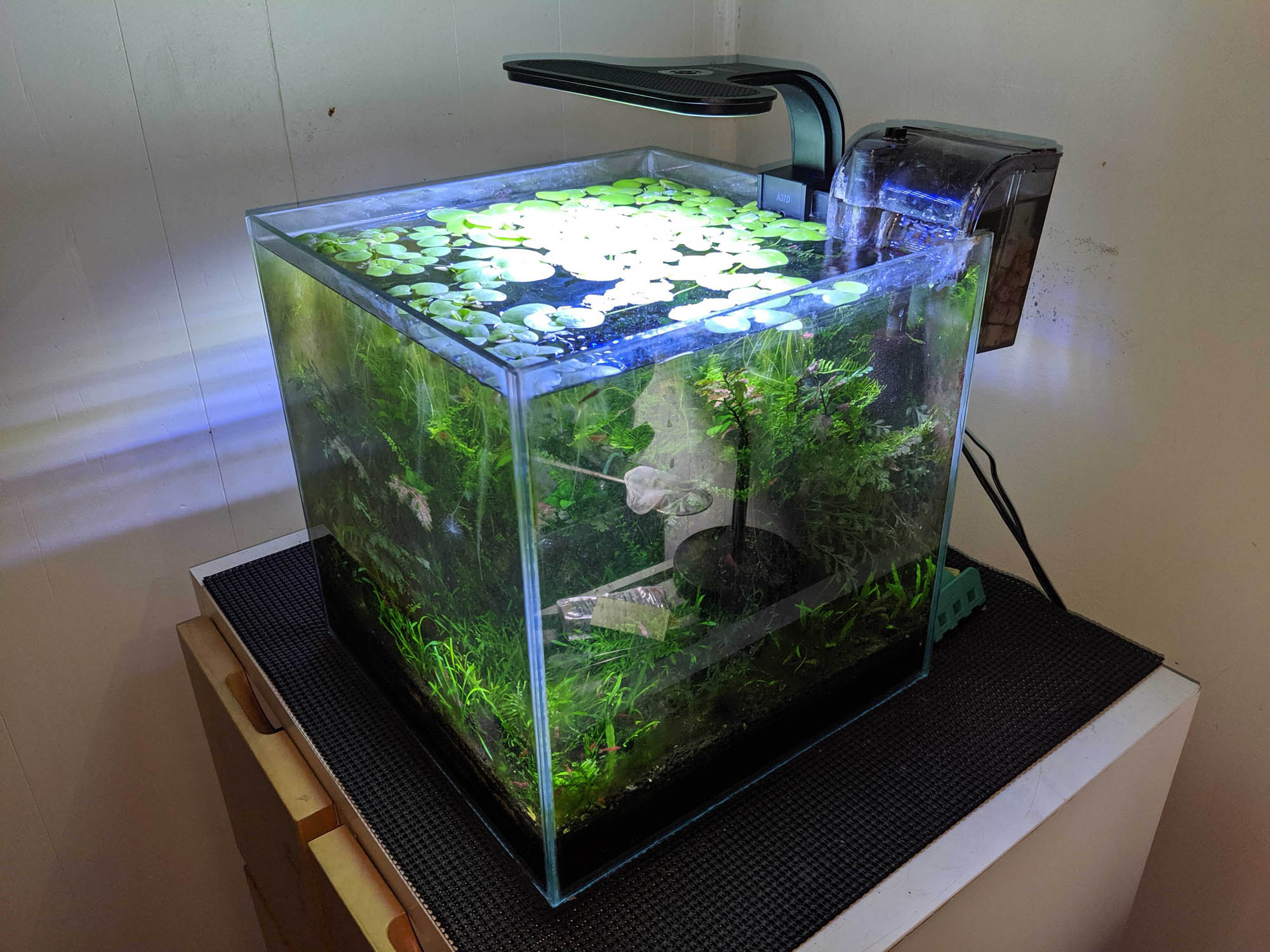 AQUEON PLANTED AQUARIUM CLIP ON LED PAR DATA