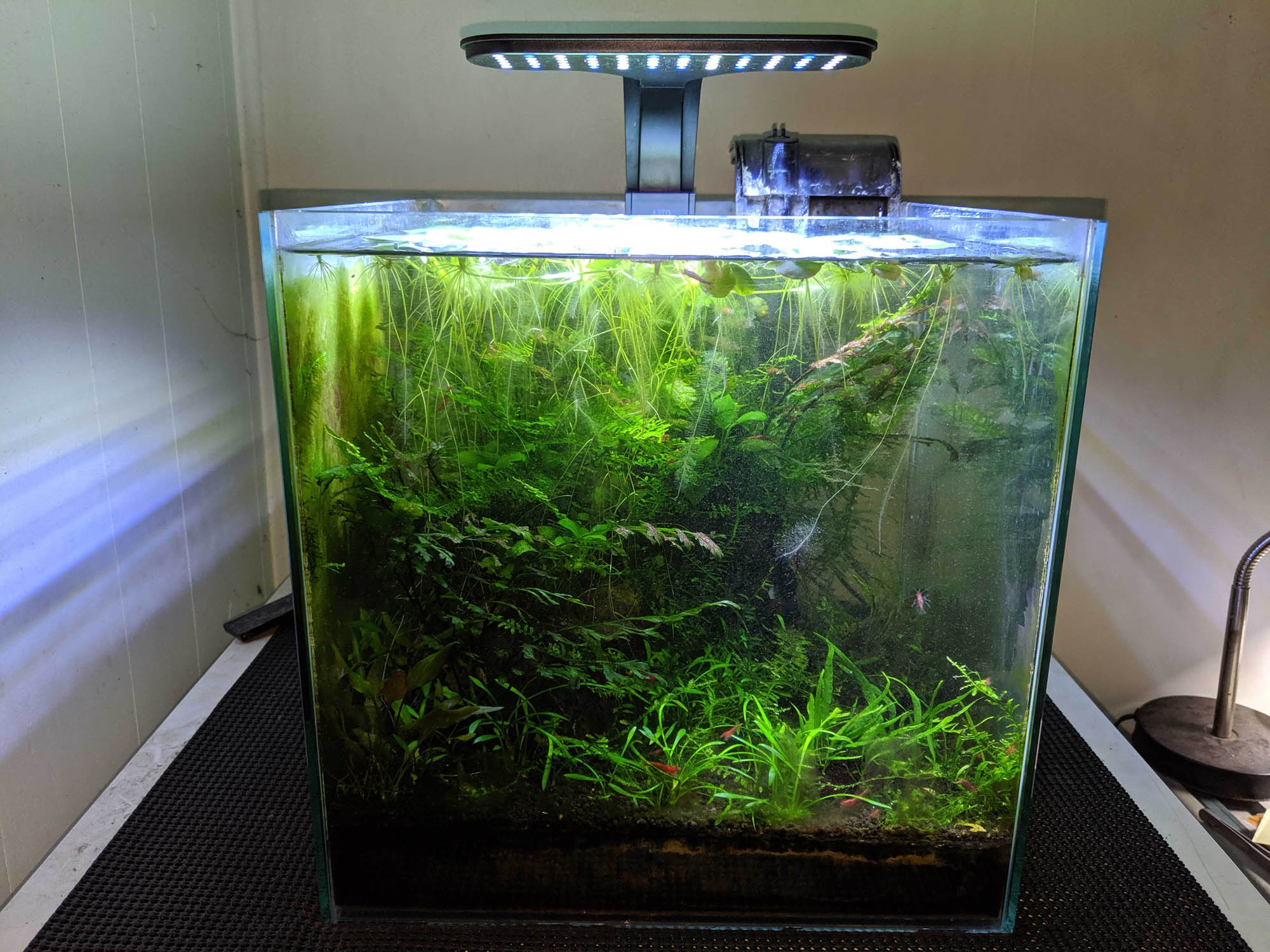 AQUEON PLANTED AQUARIUM CLIP ON LED PAR DATA