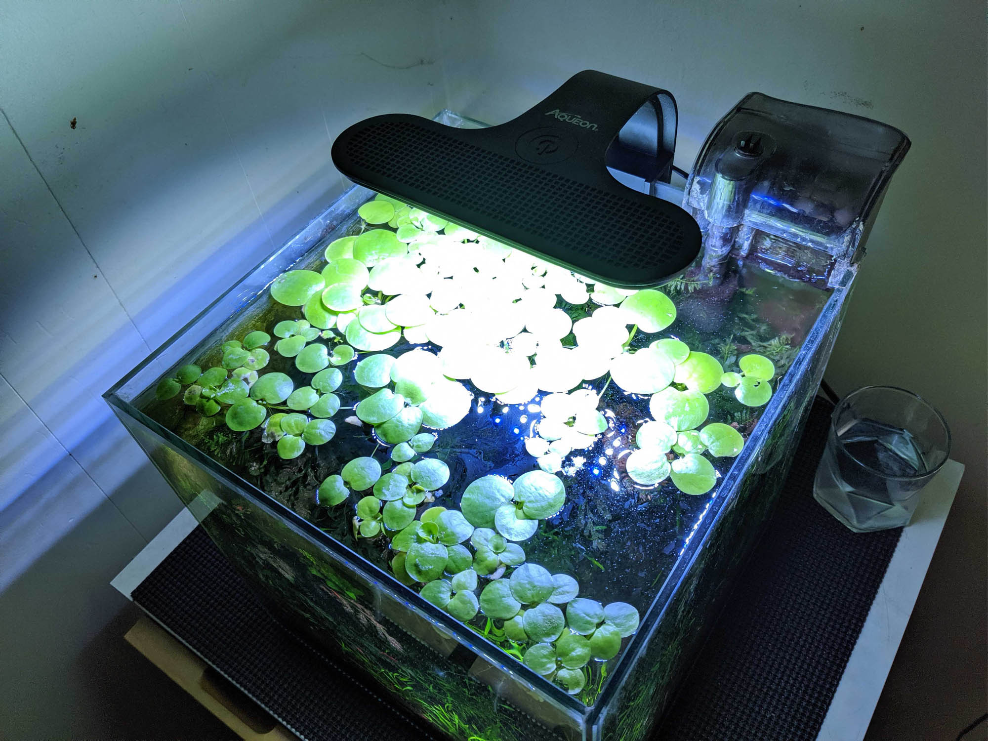 Aqueon Planted Aquarium Clip-On LED