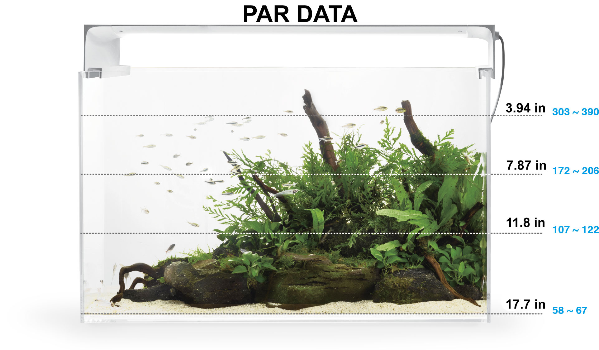 ONF FLAT ONE PAR DATA